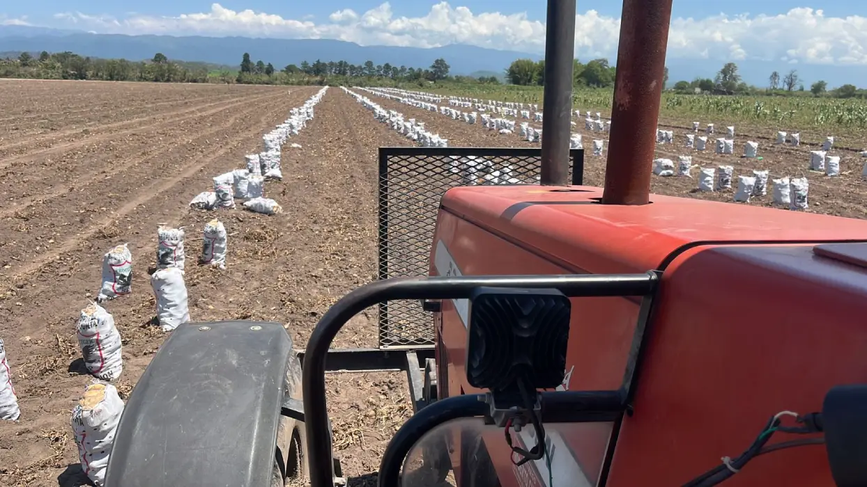 campo10