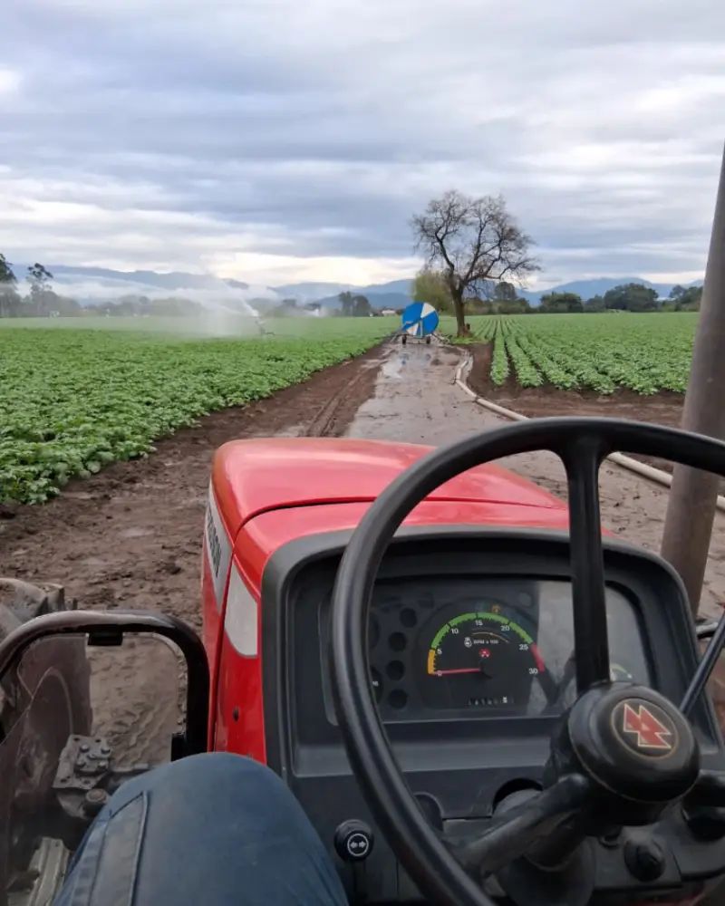 campo2