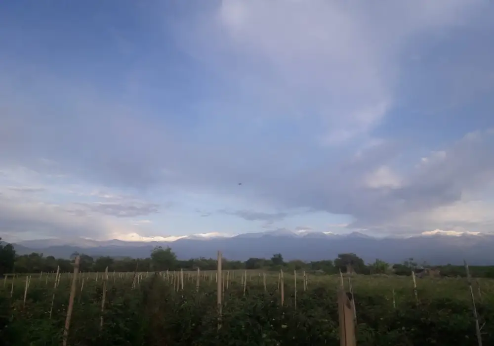 foto8
